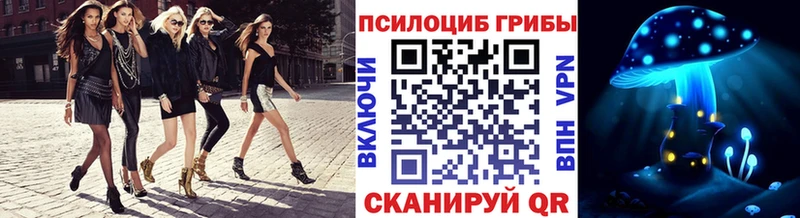 наркошоп  Всеволожск  Галлюциногенные грибы GOLDEN TEACHER 