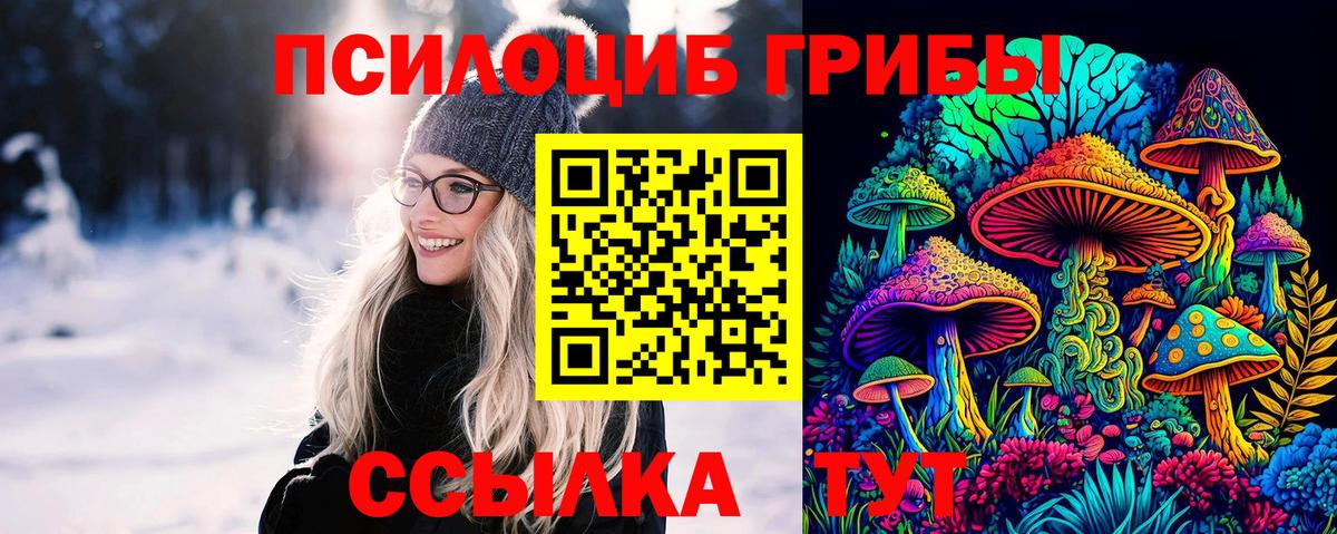 Псилоцибиновые грибы Psilocybine cubensis  Вход с VPN  Всеволожск 